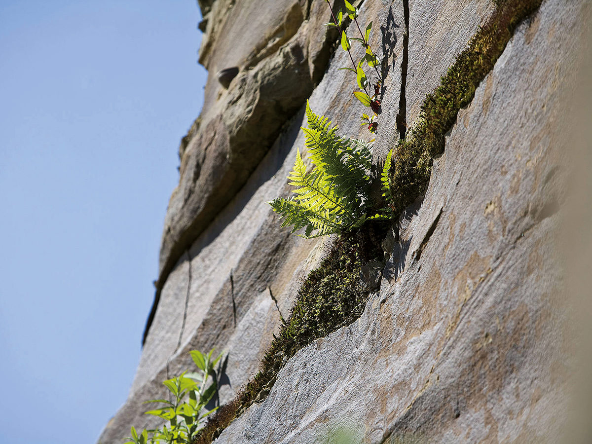 Die Aufnahme zeigt einen Lindlarer Steinbruch aus der Luft. BGS GmbH